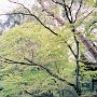 Kyoto, Japan